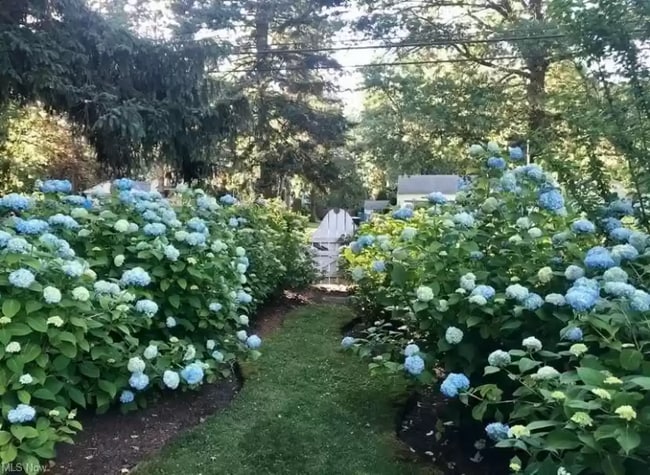 Photo - 7364 Johnnycake Ridge Rd House