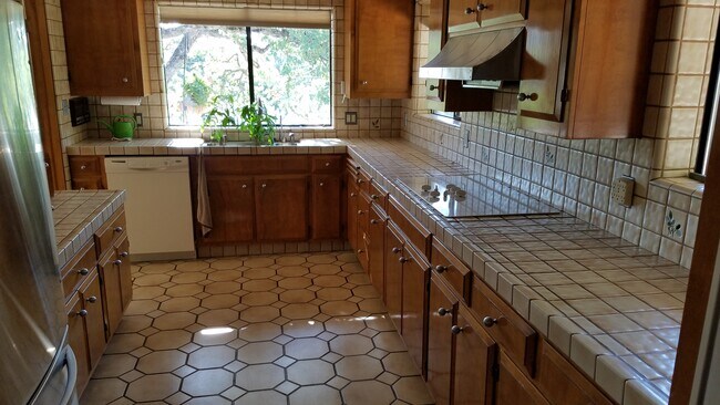 Large Kitchen with dishwasher, fridge, micro wave, regular oven, blender, coffee maker, toaster, dishes and pans. - 18450 N Shore Dr