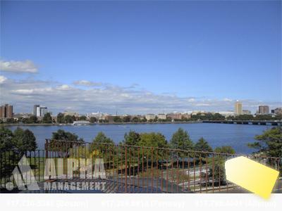 Foto del edificio - 1 bedroom in Boston MA 02215