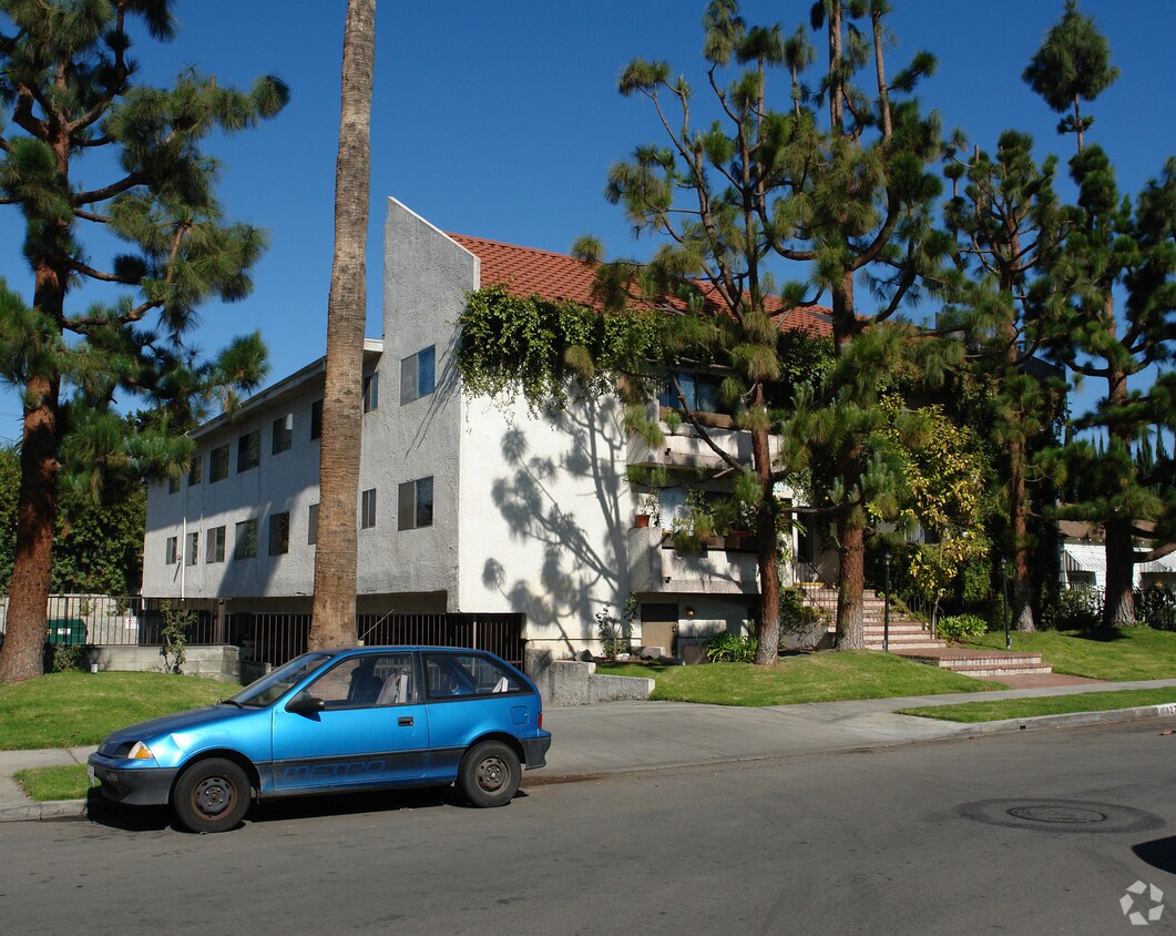 Primary Photo - Tolucan Morrison