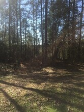 Building Photo - 1158 Burt Loop Rd