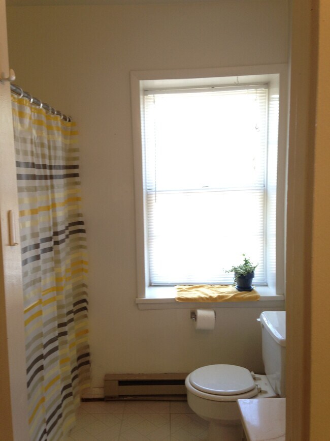 baño - 316 East Patrick Street