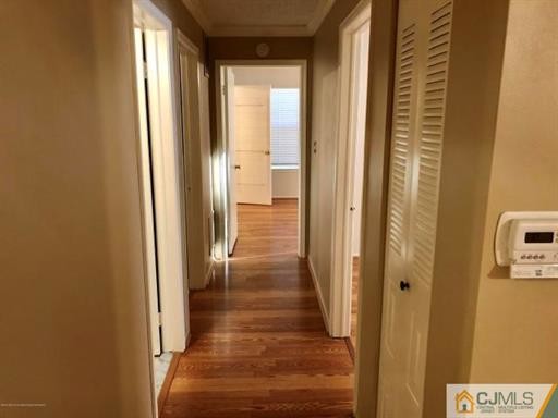 Foto del edificio - 336 Danbury Ct