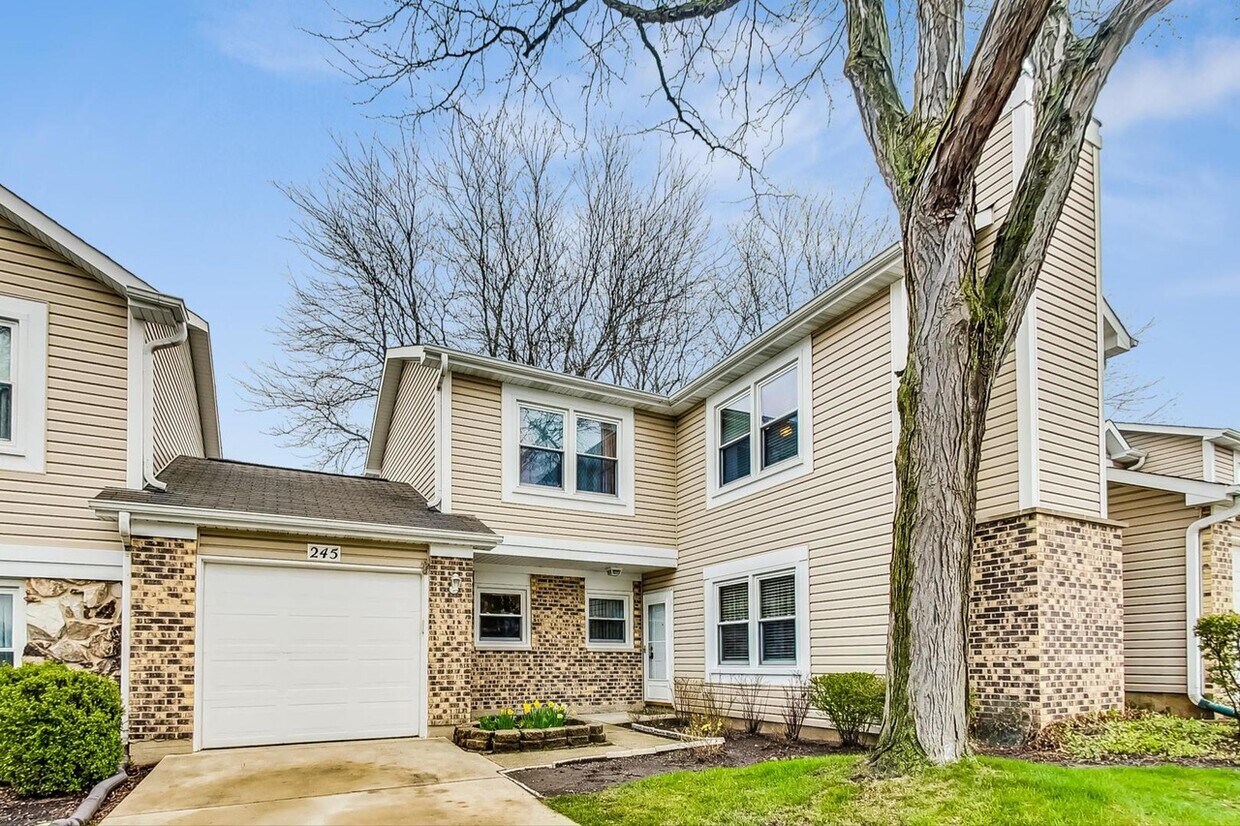 245 Hedgerow Drive - 245 Hedgerow Dr