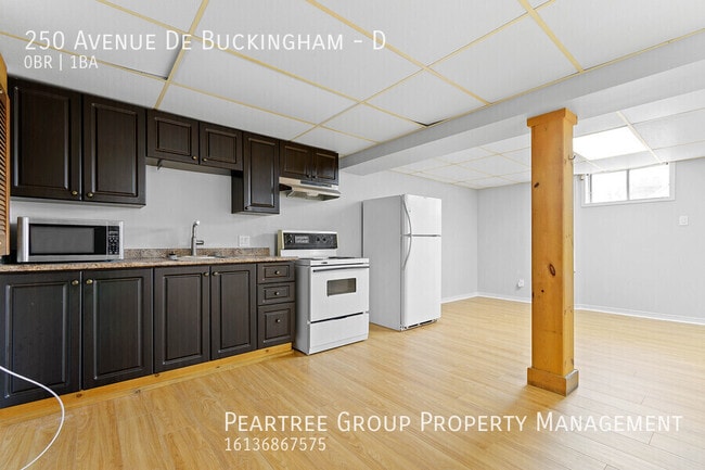 Building Photo - Beautiful Buckingham Basement-Studio for R...
