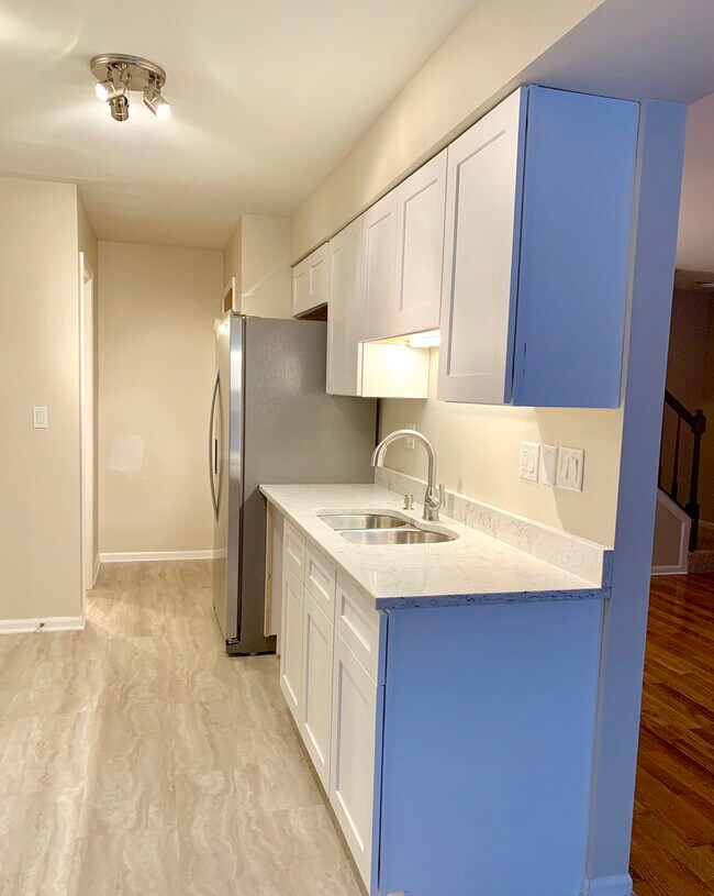 Newly renovated kitchen in 2020 - 365 Birchwood Ct
