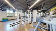 Located at 8204 Baltimore Ave in College Park, Maryland, this fitness center offers a spacious, single-floor layout designed to accommodate a wide range of workout styles and training needs. The industrial-chic aesthetic is defined by exposed ductwork and piping across a dark painted ceiling, polished concrete floors, and sleek linear LED lighting that keeps the space bright and energizing throughout.

The cardio zone features a row of modern treadmills and elliptical machines, each equipped with individual screens, positioned along vibrant yellow accent walls adorned with dynamic athletic murals. A dedicated free weights area provides rubber-matted flooring, tiered dumbbell racks, barbells, and adjustable benches, all bathed in natural light from large multi-pane windows overlooking surrounding greenery.

The functional training section includes multi-station power rigs branded with Torque Fitness equipment, battle ropes, plyo boxes, medicine balls, kettlebells, resistance bands, and a heavy punching bag — supporting strength, conditioning, and HIIT-style workouts. Full-length mirrors are strategically placed throughout to assist with form and enhance the sense of space. Dual entry doors provide convenient access, and the overall layout ensures ample open floor space for dynamic movement and group training activities.