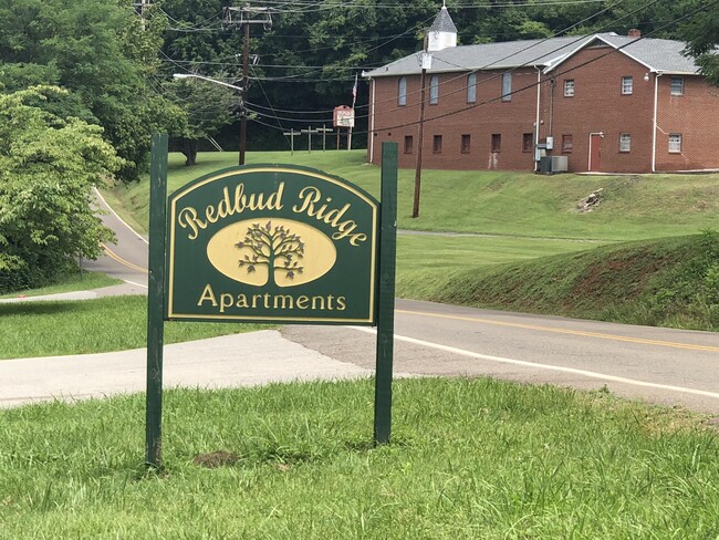 Photo - 805 E Red Bud Rd (Knoxville, TN) Apartment