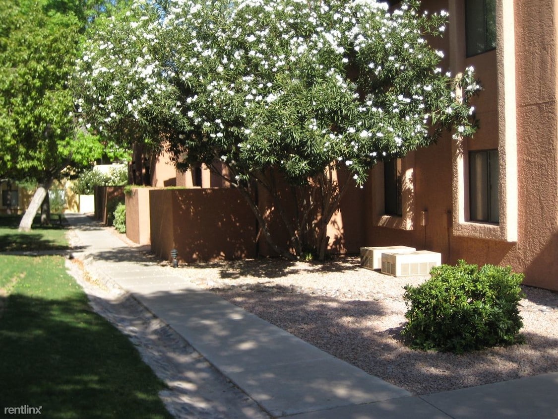 Primary Photo - 2172 N Pantano Rd