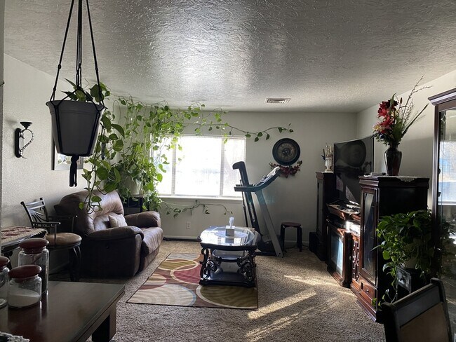 Foto del edificio - 3708 Boulder St