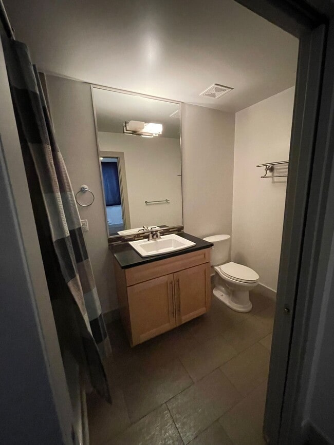 Lower Floor Full Bathroom - 2840 W 26th Ave