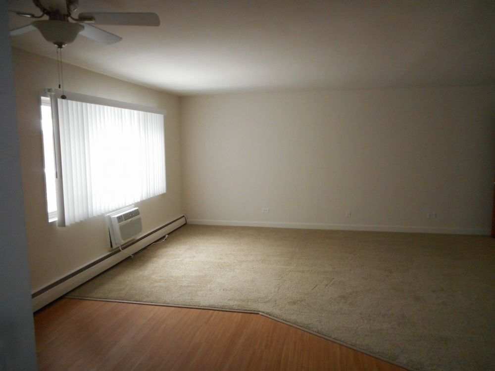 Building Photo - Huge newly rehabbed unit in Glen Ellyn