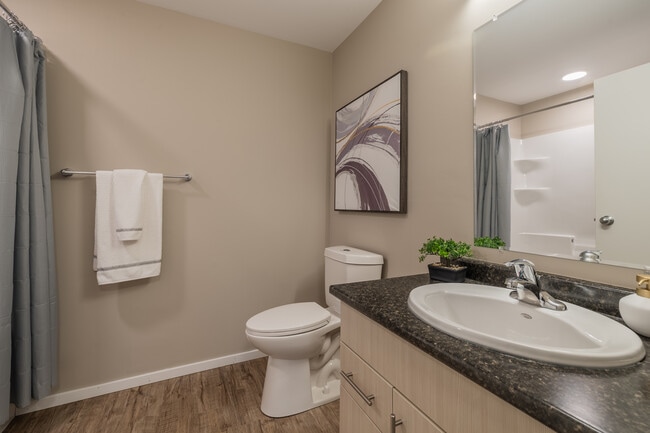 Blackstone Village - 2BR, 2BA - 855SF - Primary Bathroom - Blackstone Village