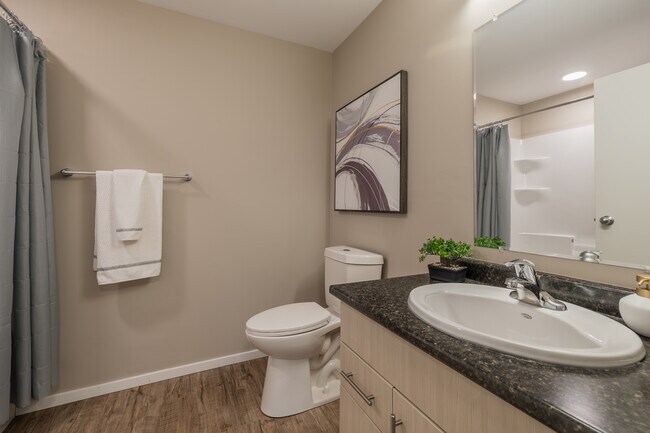 Blackstone Village - Appartement 2 chambres, 2 salles de bain - 855 pi² - Salle de bain principale - Blackstone Village
