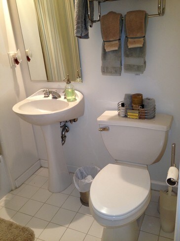 Second Bathroom - 45 Iron Horse Ln