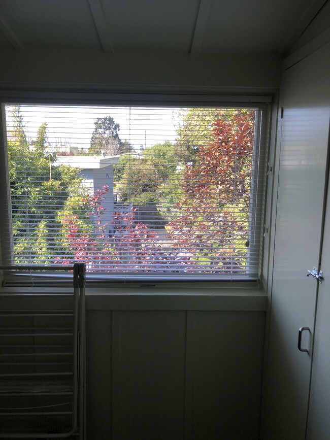 Building Photo - 1627 Francisco St