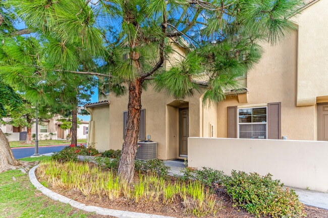 Building Photo - 1429 Caminito Sardinia