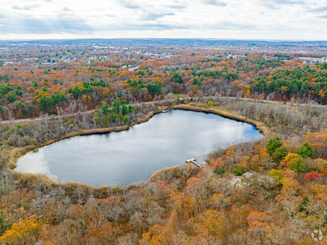 The Turtle Pond at Stony Brook Reservation is a prime location for residents of Hyde Park to enjoy outdoor recreation.