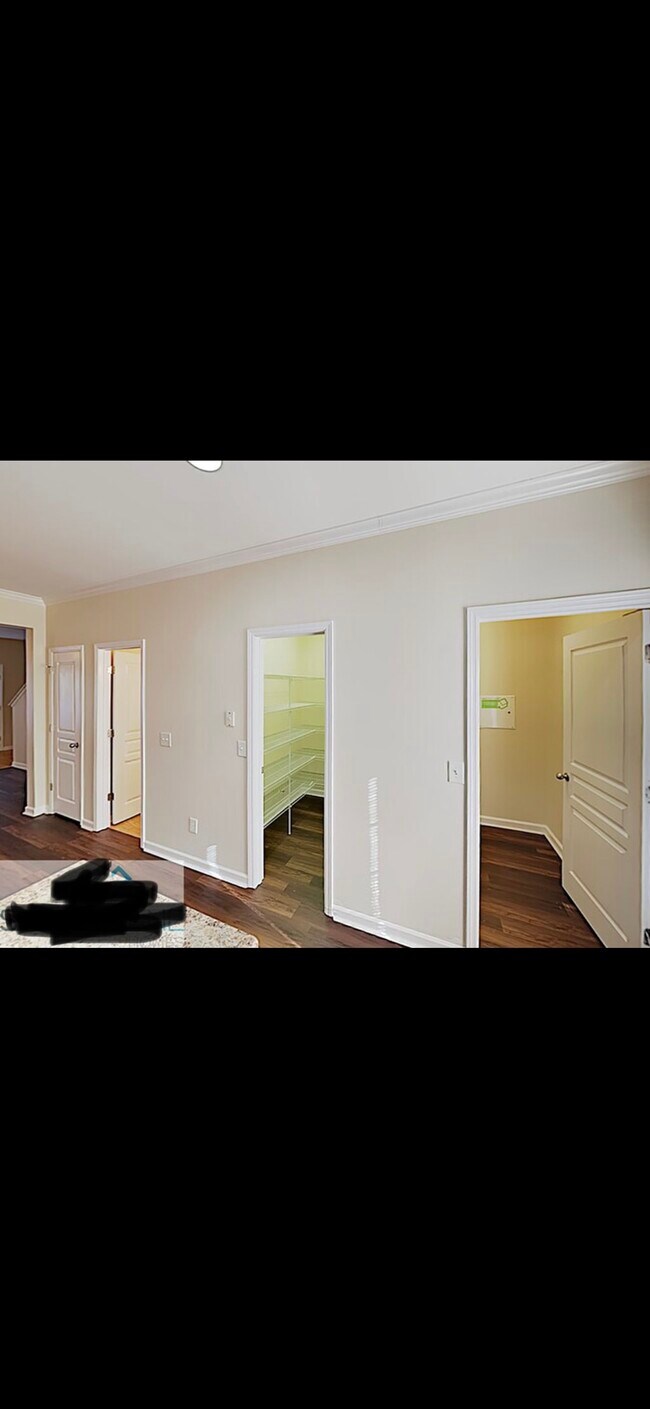 Closet - 391 Tapestry Pl