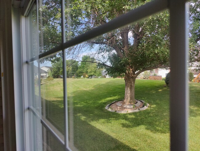 view out sunroom window - 7335 Collister Rd