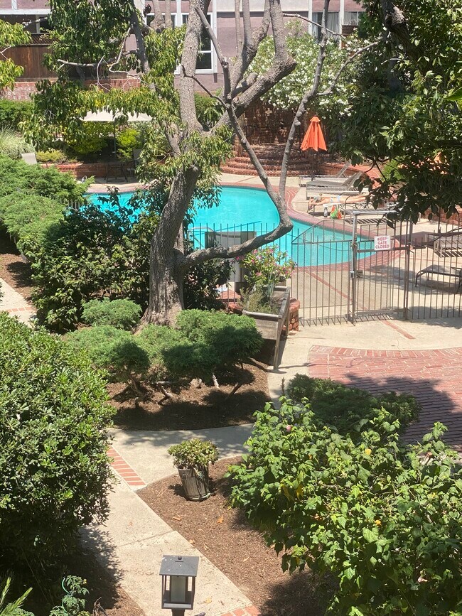 View from deck - 6625 Green Valley Cir