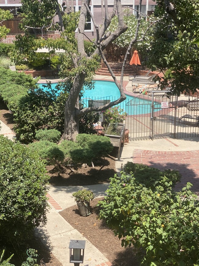 View from deck - 6625 Green Valley Cir