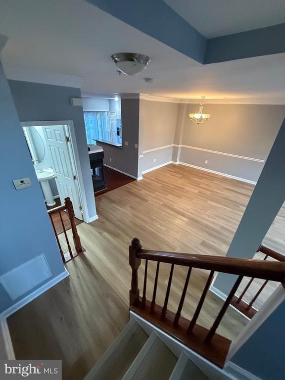 Building Photo - 1016 Wood Branch Ct