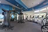 This well-appointed fitness center in San Jose, California offers a generously sized, single-floor workout space designed to accommodate a comprehensive range of exercise needs. The facility's architectural design is immediately striking, featuring soaring ceilings with a distinctive curved tray detail highlighted in bold teal blue, creating a dynamic visual focal point. Recessed lighting and multiple ceiling fans ensure the space remains bright and comfortable throughout.

Natural light floods the interior through an abundance of large windows that wrap around the perimeter, offering views of the surrounding outdoor greenery and providing an open, airy ambiance. A standout circular porthole-style window adds a unique architectural touch to one section of the space.

The main floor area is divided into distinct workout zones. A dedicated cardio section lines the windowed walls and houses multiple treadmills, elliptical trainers, stationary bikes, and stair climbers. A central strength-training area features a multi-station cable machine and a variety of free-weight benches and racks. A separate free weights zone offers a full selection of dumbbells displayed on tiered racks, accompanied by mirrors and padded flooring. The durable rubber-textured flooring throughout supports all forms of training, making this fitness center a fully equipped and thoughtfully designed space.