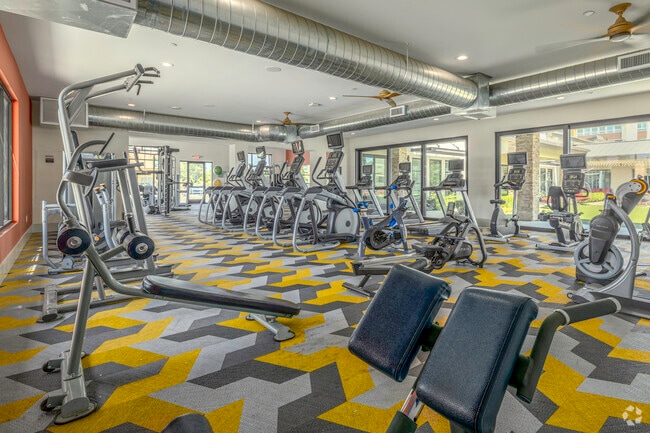 Gimnasio - The Vista