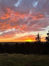 Building Photo - 4190 Blackpool Trail