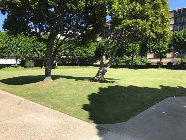 Foto del edificio - 2 Bedroom, 2 Bathroom, 1 Parking (1350 Ala...