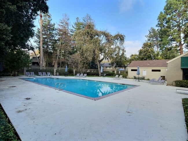 Foto del edificio - 1 Bed/1 Bath Updated Condo with Great Amen...