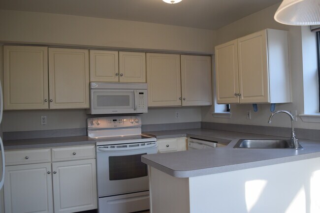 Building Photo - 75 Paladin Dr