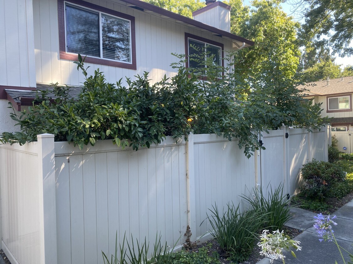 Photo - 2539 Blue Rock Ct (San Jose, CA)