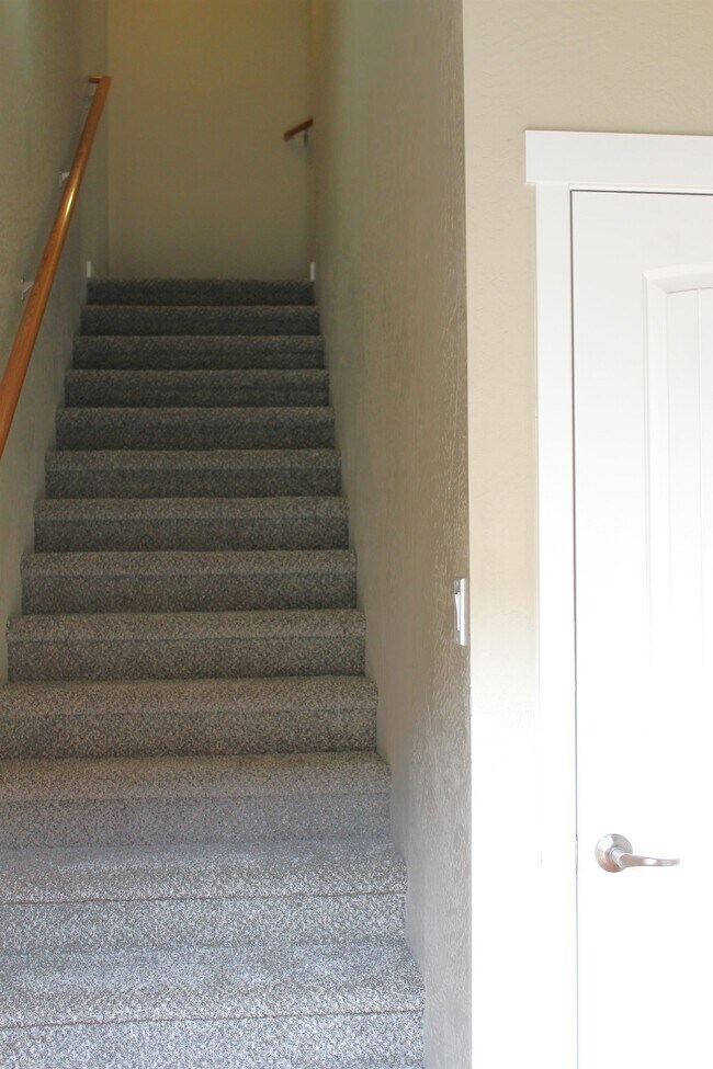 Foto del edificio - 270 Cherry Bark Ln