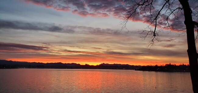 Foto del edificio - 1611 Vernon Rd