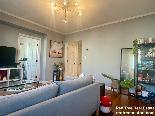 Photo - 53 Myrtle St Apartment