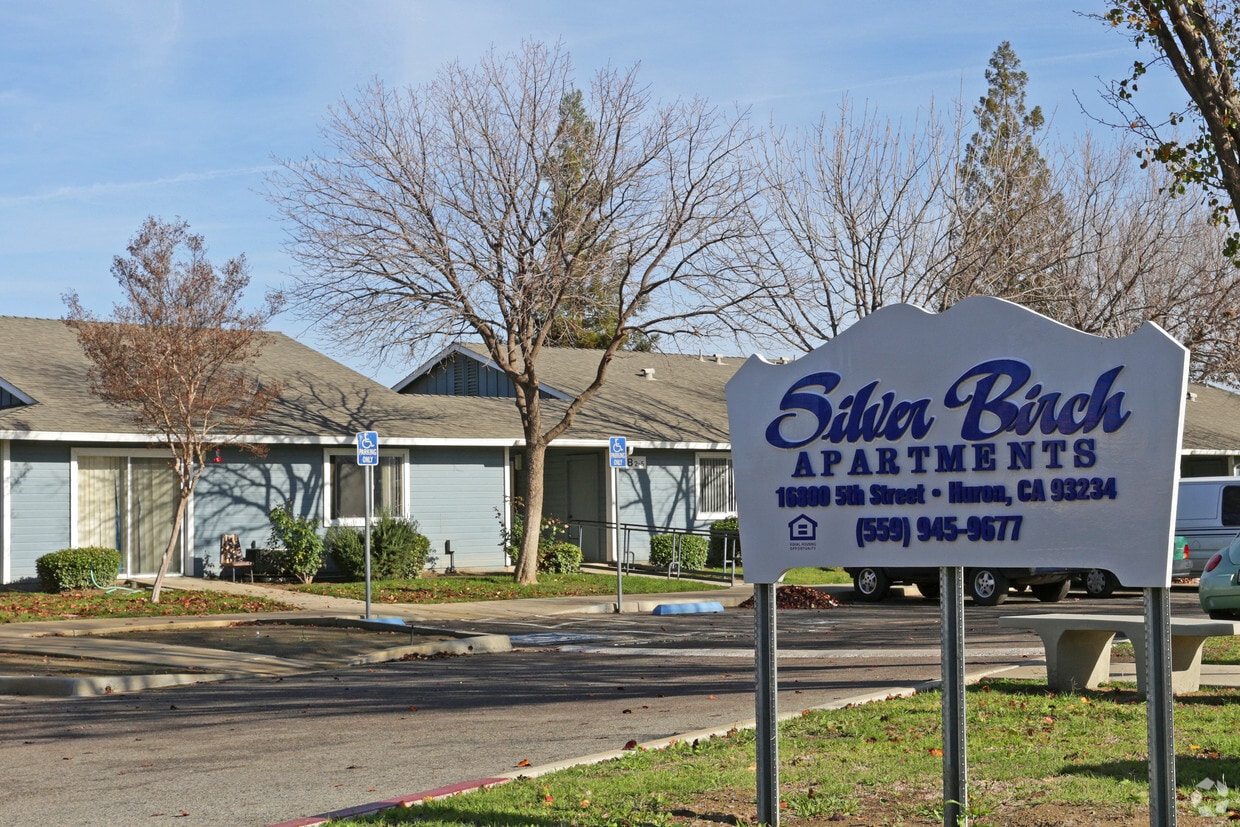 Primary Photo - Silver Birch Apartments