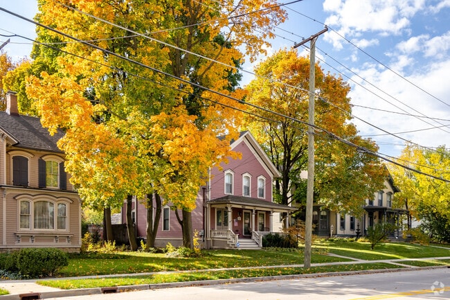 Historic homes in Downtown Elgin are surrounded by old growth trees.