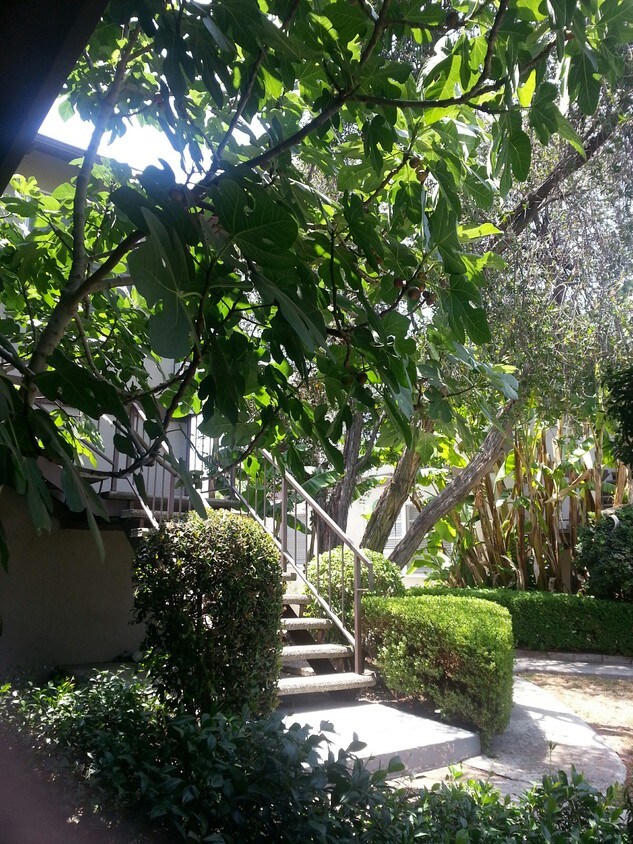 3718 W Chandler Blvd Unit C, Burbank, CA 91505 Apartments at 3718 W