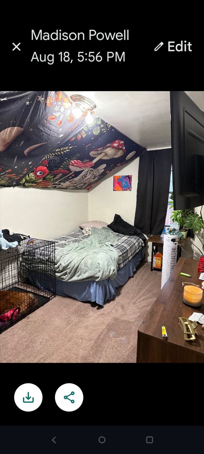 Foto del edificio - 209 Diamond St