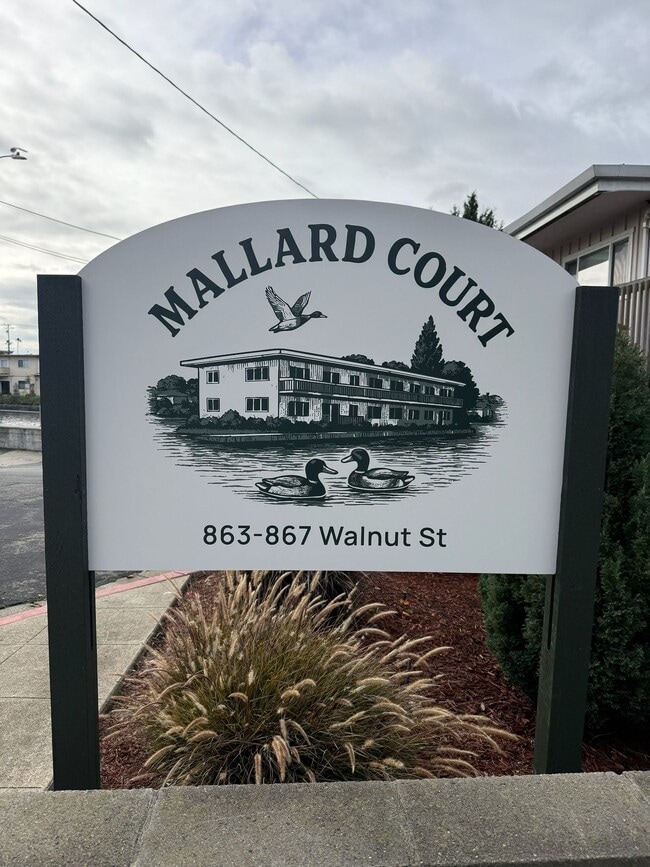 Foto del edificio - Spacious Apartments in the Desirable Bronze Coast Neighborhood