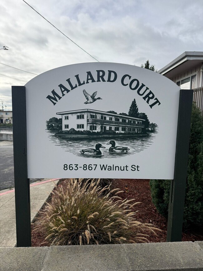 Building Photo - Spacious Apartments in the Desirable Bronze Coast Neighborhood