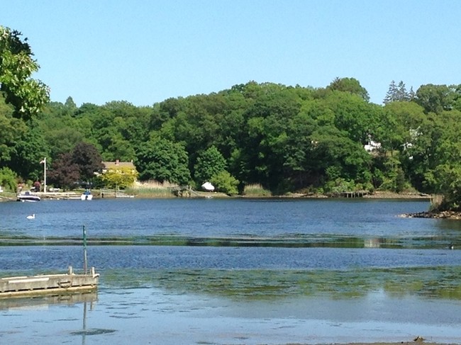 Cove From Rear Dock - 123 Old Norwich Rd