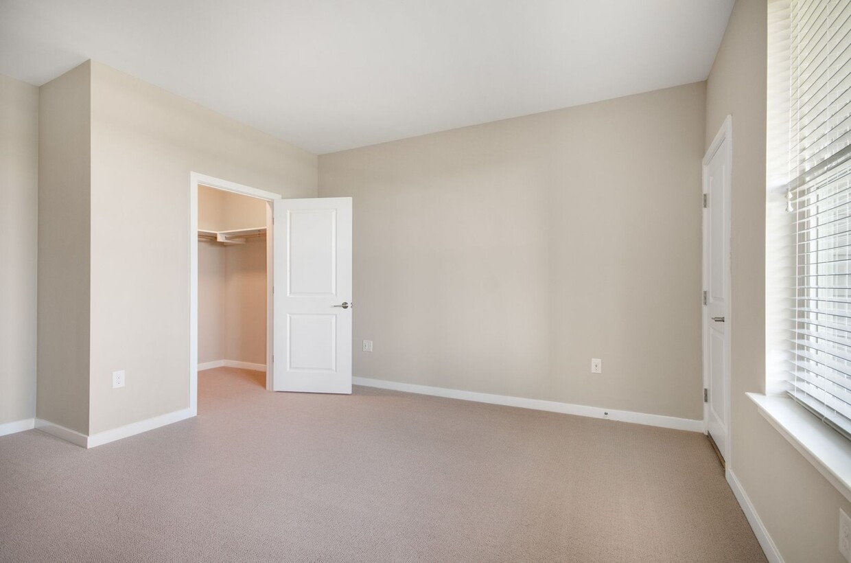 Primary Photo - One Bedroom Luxury Apartment (Elevator Bui...