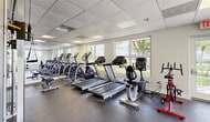 Located at 1130 Turtle Creek Blvd in Naples, Florida, this well-equipped fitness center offers a comprehensive workout environment within a single, efficiently designed space. The room features durable rubber flooring throughout, providing a safe and functional surface for a wide range of exercises. A suspended drop-panel ceiling with recessed fluorescent lighting ensures consistent, bright illumination across the entire facility. Large windows lining multiple walls flood the space with abundant natural light while offering pleasant views of the surrounding lush, tropical landscaping — including mature palm trees and manicured greenery. Full-length mirrors are mounted along one wall, visually expanding the room and aiding in proper form during workouts. The cardio section is well-appointed with multiple treadmills, elliptical trainers, a recumbent bike, and a spin cycle. The strength training area includes a multi-station cable machine, a rack of dumbbells in varying weights, medicine balls, and stability balls. Posted fitness center rules ensure a welcoming, organized environment for all users. A dedicated entry door with direct outdoor access adds convenience. The space delivers a fully functional and bright fitness experience suited for both cardio and strength training routines.