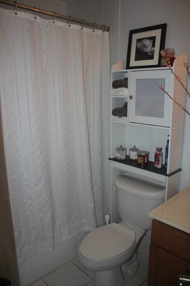 Hallway Bathroom - 302 Hilltop Lane