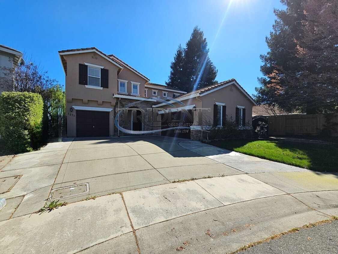 Building Photo - 1572 Plum Ct