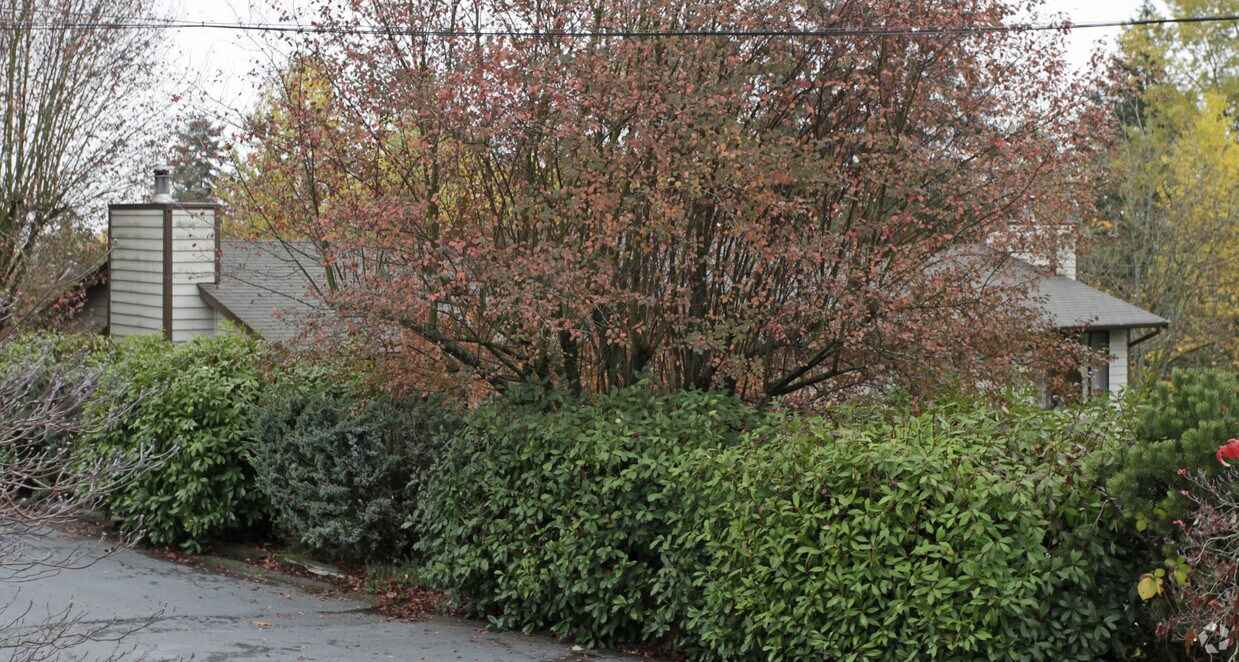 Foto del edificio - 807-809 Emerald St