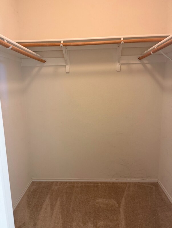 Foto del edificio - 203 Brooke St